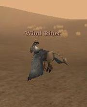 Wind Riner